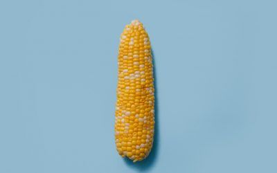 Propiedades del  Maíz [incluye receta]