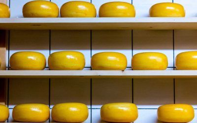 ¿Qué alimentos nos aportan calcio?