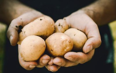 Propiedades de la patata según como la cocines