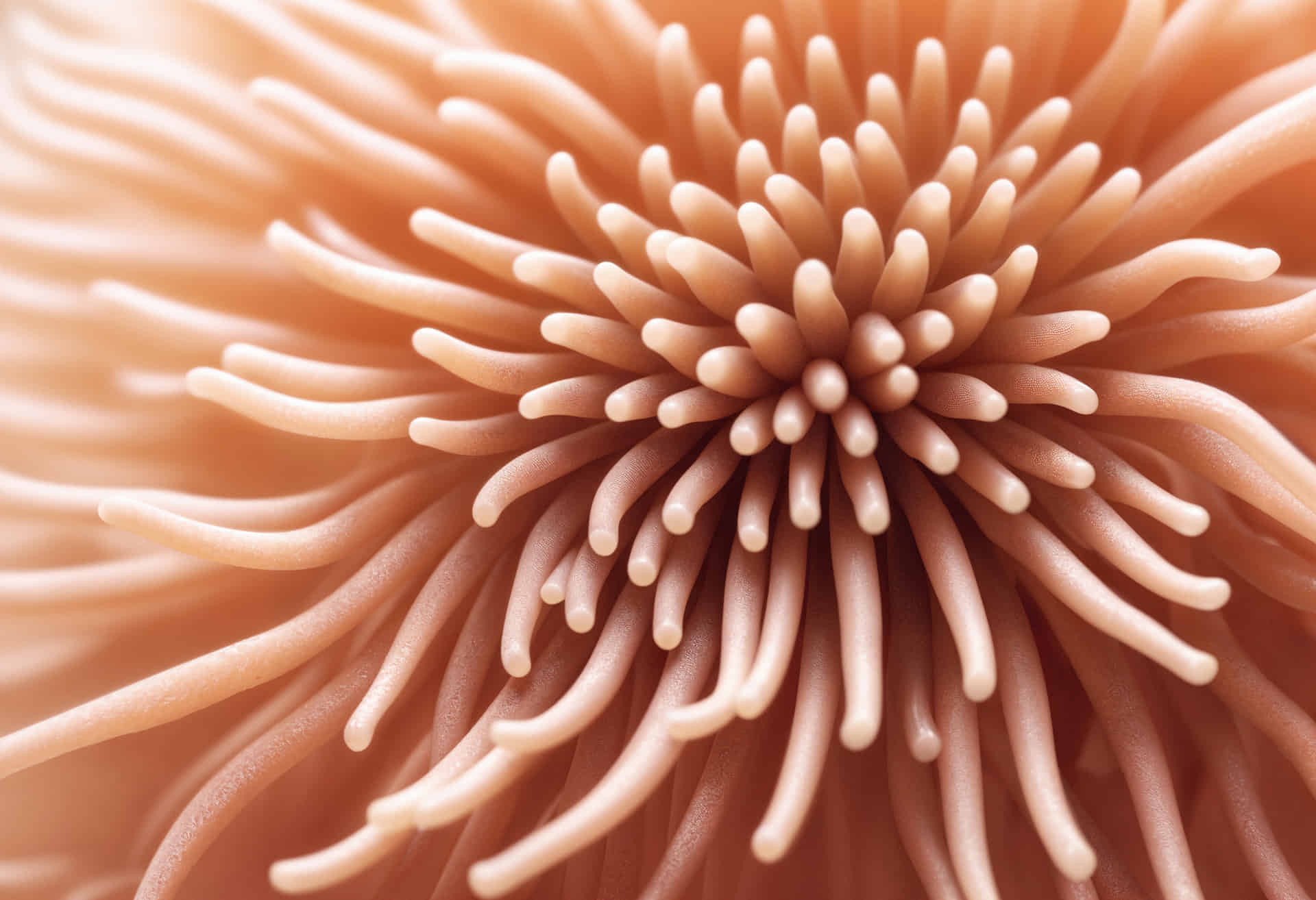 Microbiota, flora intestinal
