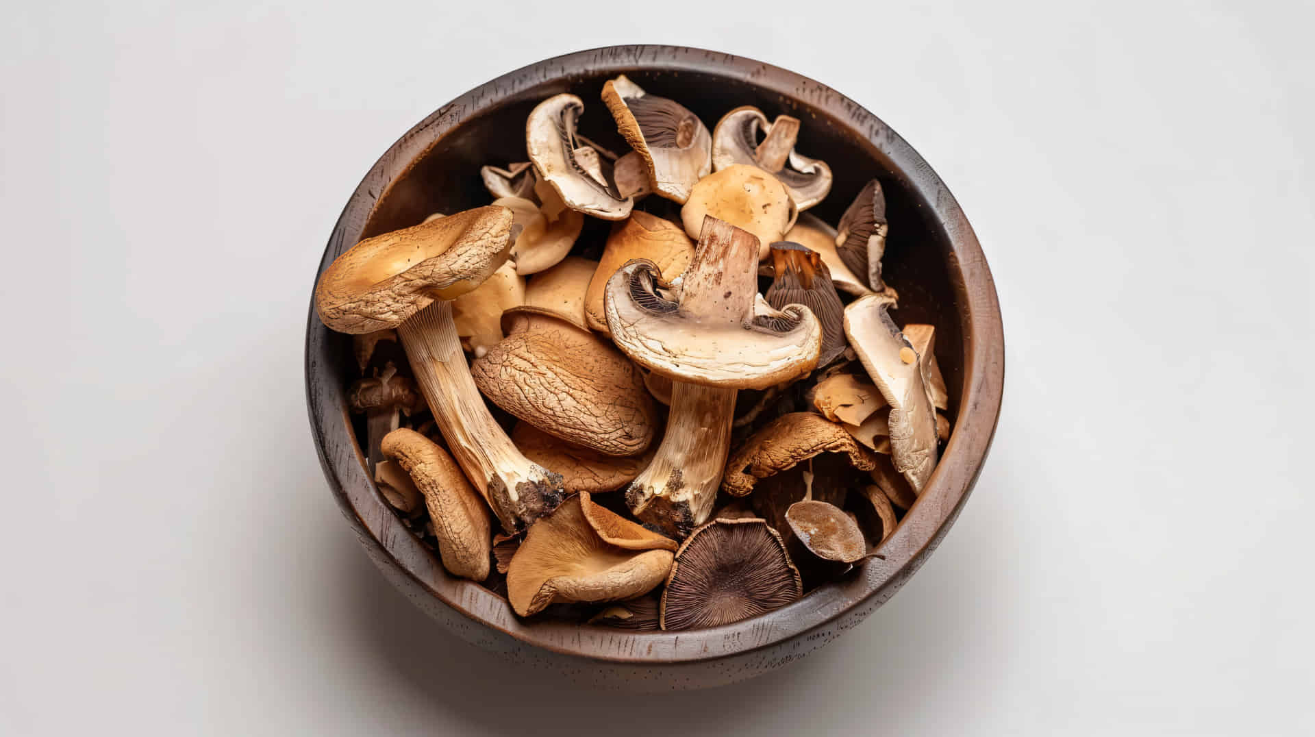 setas shiitake